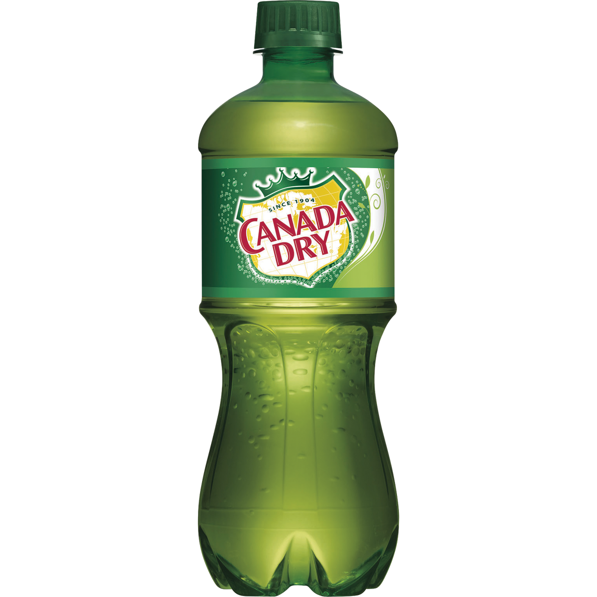 Canada Dry Ginger Ale, 20 fl oz, 24-pack