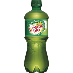 Canada Dry Ginger Ale, 20 fl oz, 24-pack