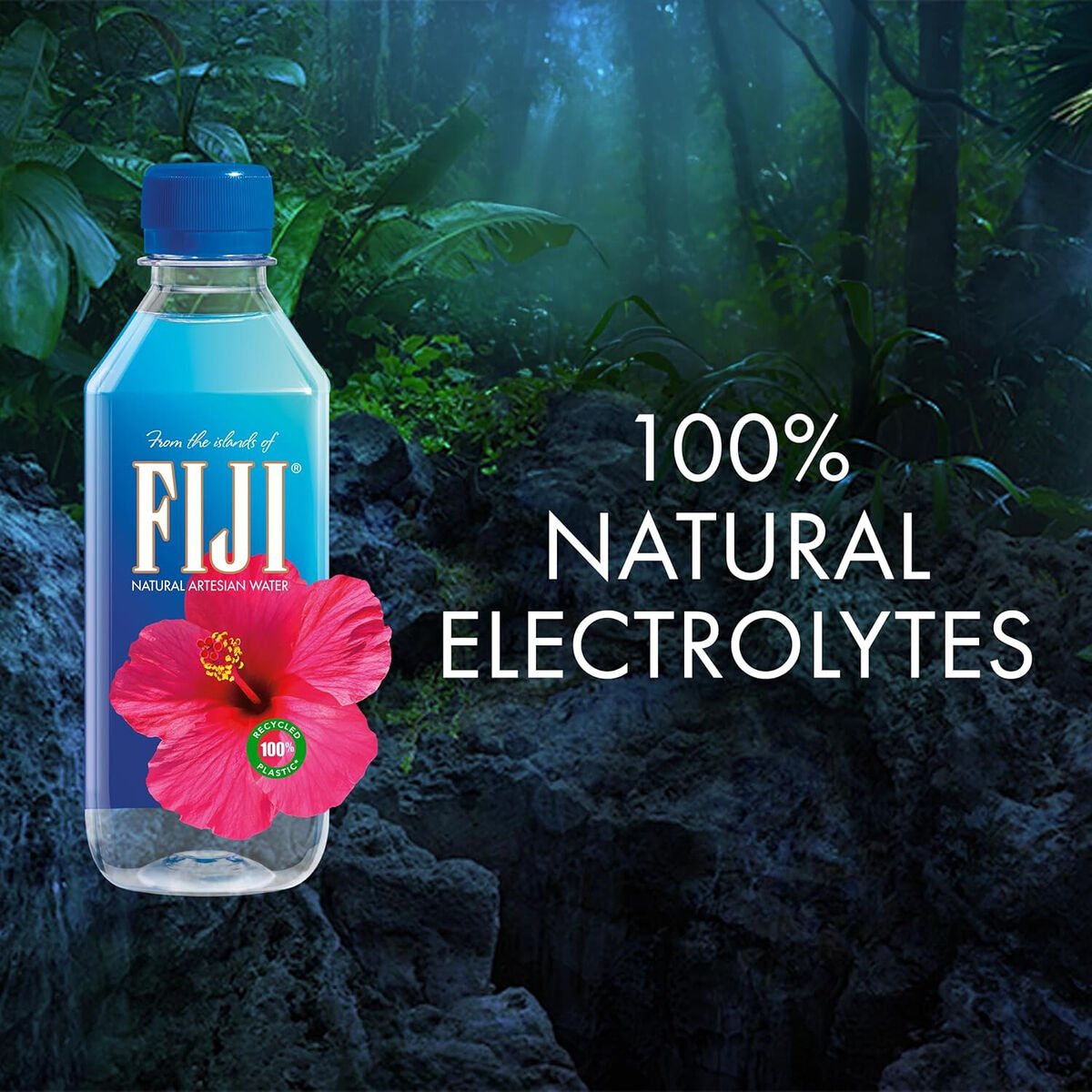 FIJI Natural Artesian Water, 330 mL, 24 ct